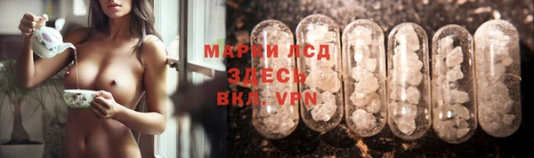 твердый Ладушкин