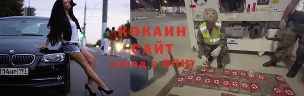 твердый Ладушкин