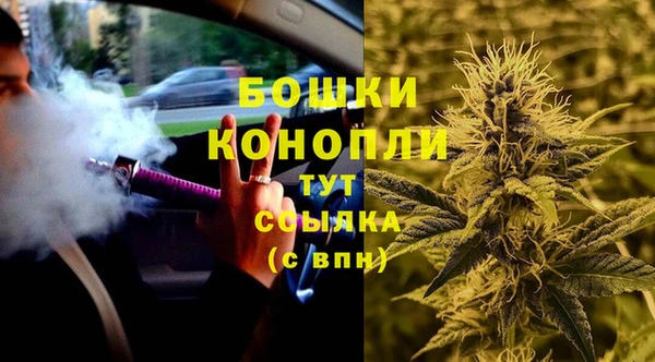 сатива Лагань