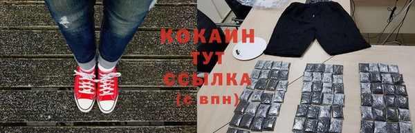 сатива Лагань