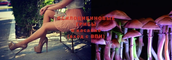 твердый Ладушкин