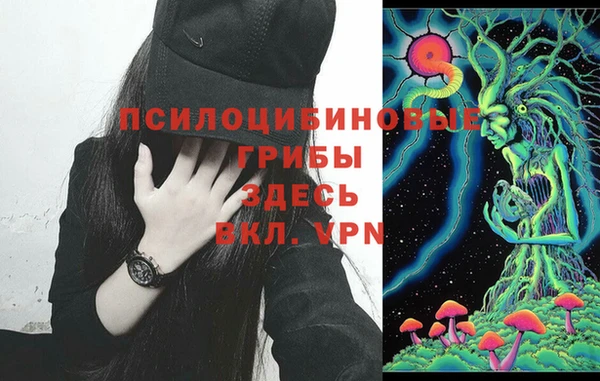 твердый Ладушкин